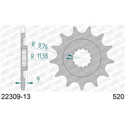 AFAM 13T 520 RMZ250 13-(WILL BECOME 22311)  [ONC01] #