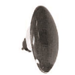 #EMGO CATEYE DECO LIGHT (LG) CLEAR [ONC01] #