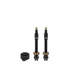 TOPEAK TURBOFLOW VALVE KIT 45mm [SPC01]
