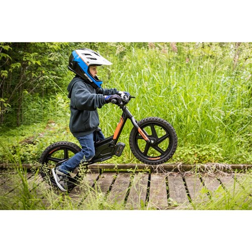 irone bike
